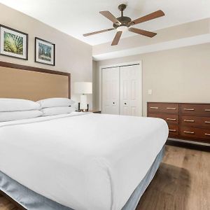 Suite Côté Océan à 1 Chambre à Coucher Lit King-Size